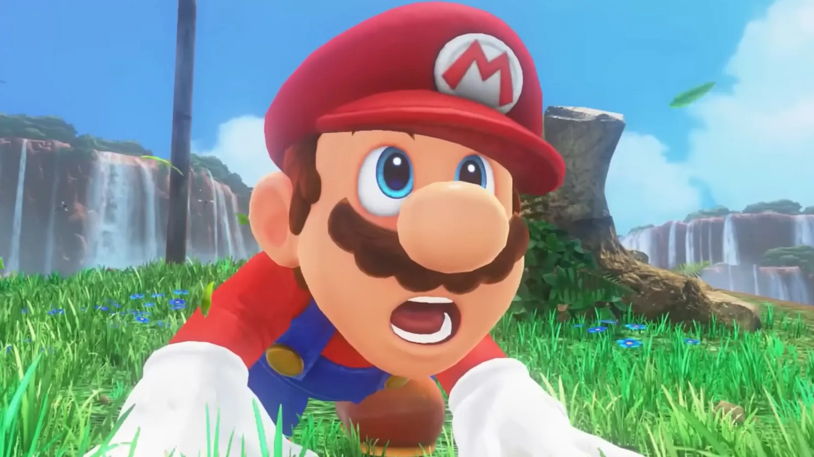 Nintendo