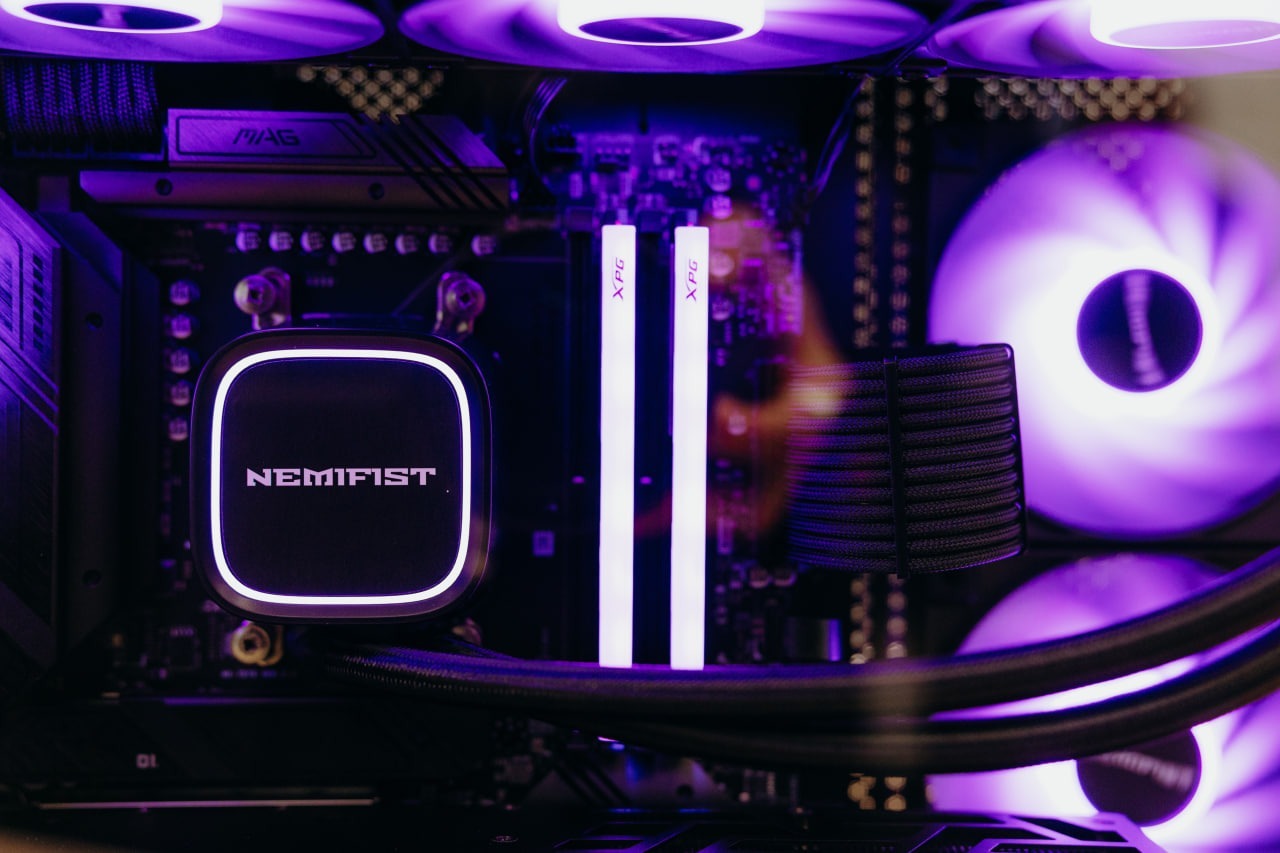NEMIFIST