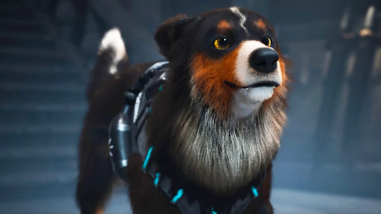 Barkour выйдет в конце 2026 года на ПК и консолях