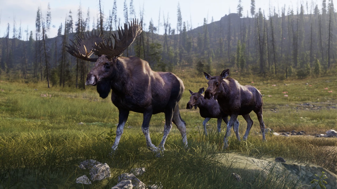 Way of the Hunter 2 вышла из раннего доступа