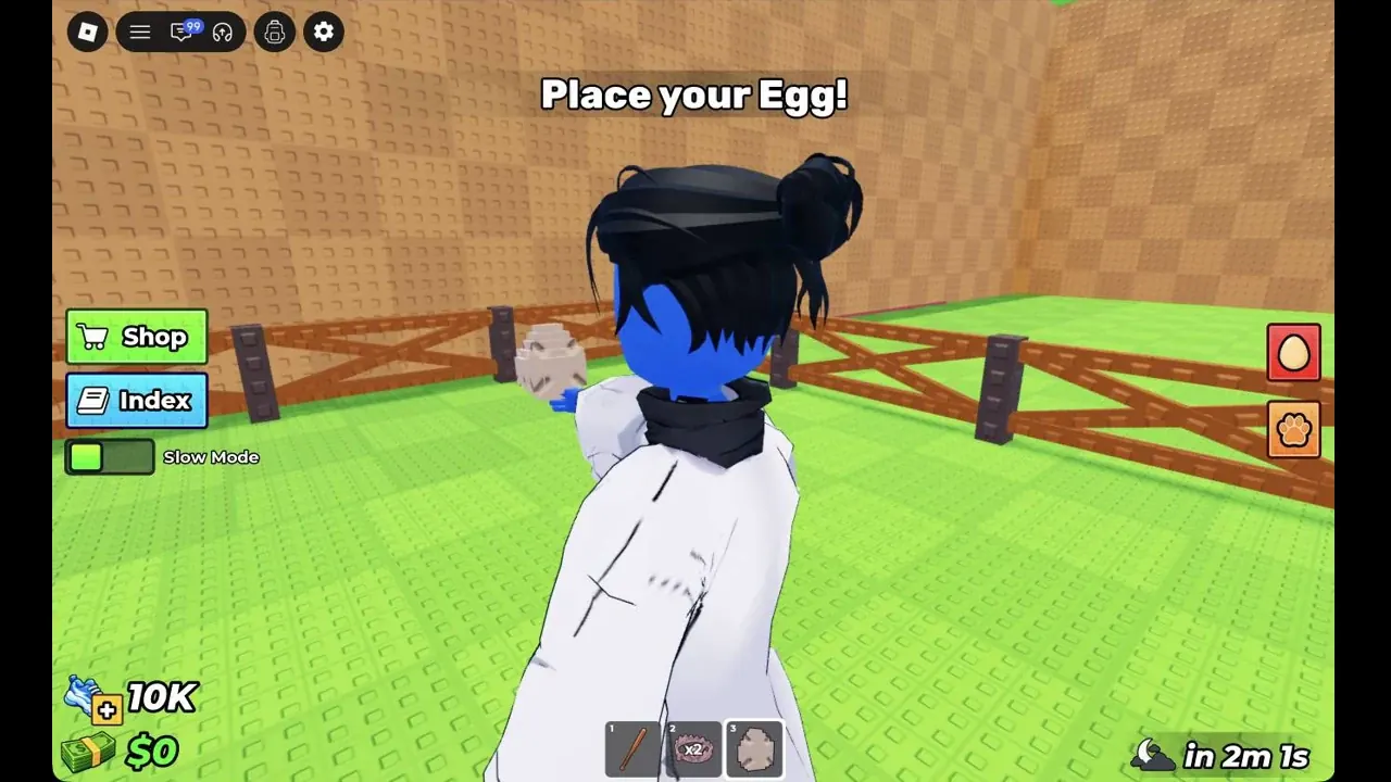 Выбранное яйцо в загоне перед размещением в Steal An Egg