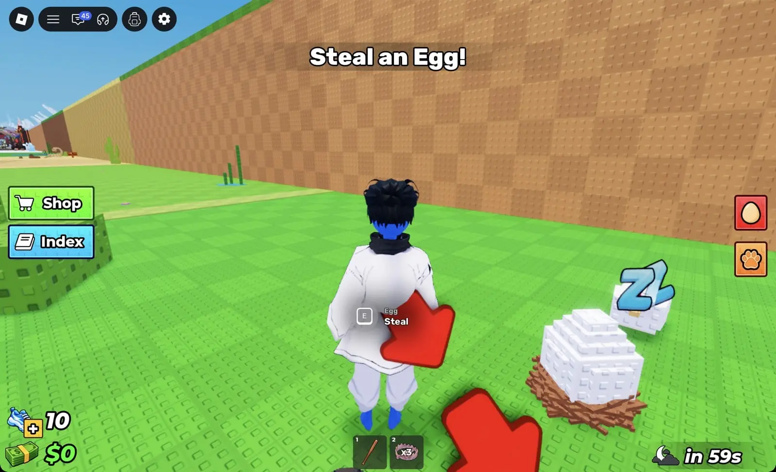 Персонаж у спящего охранника и яиц в стартовой зоне Steal An Egg