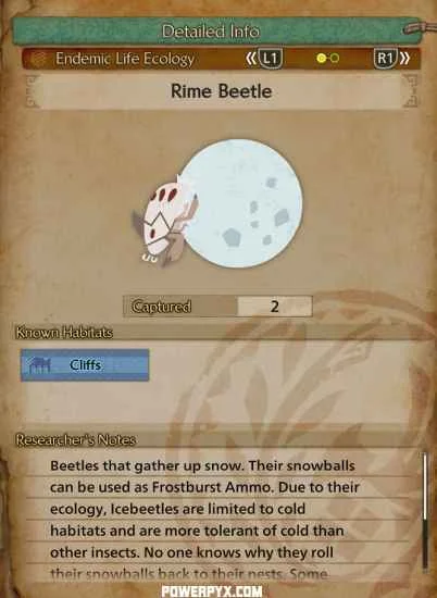 Карточка Rime Beetle во внутриигровой энциклопедии